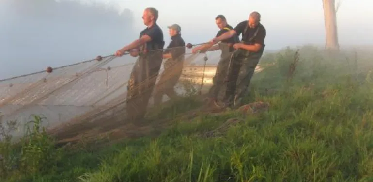 visstandbemonstering