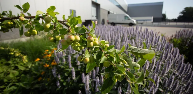 Bent u al klaar voor de nieuwe BREEAM beoordelingsrichtlijn?