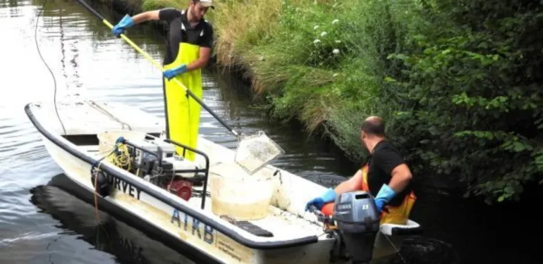 Vissen in de Barneveldse Beek
