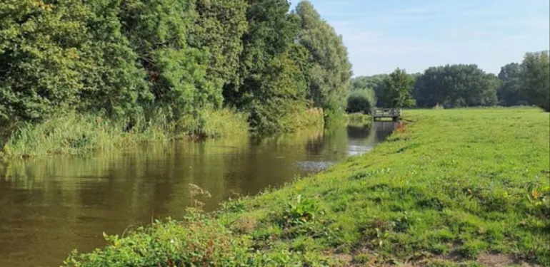 Minder uitheemse rivierkreeften 