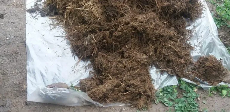 ATKB onderzoekt pilot met Bokashi