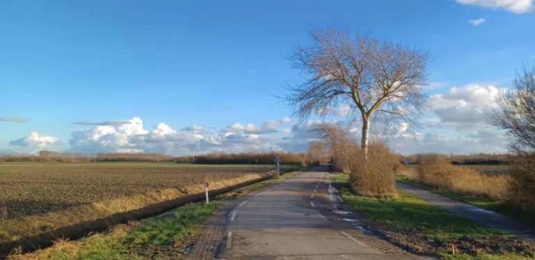 Milieukundige bodemonderzoeken voor Waterschap Scheldestromen