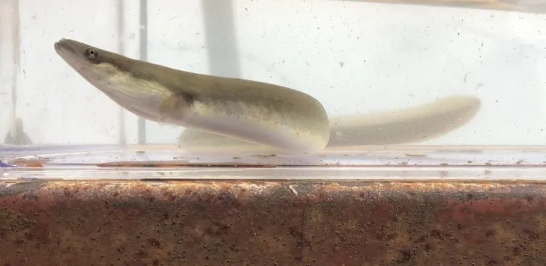 Nieuwe Beleidsregel watergunningverlening waterkrachtcentrales van kracht