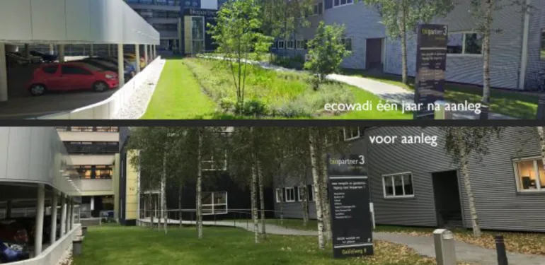 Stad en land baat bij EcoWadi