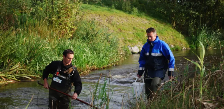 Publicatie op Nature Today: vergelijking eDNA en elektrovissen