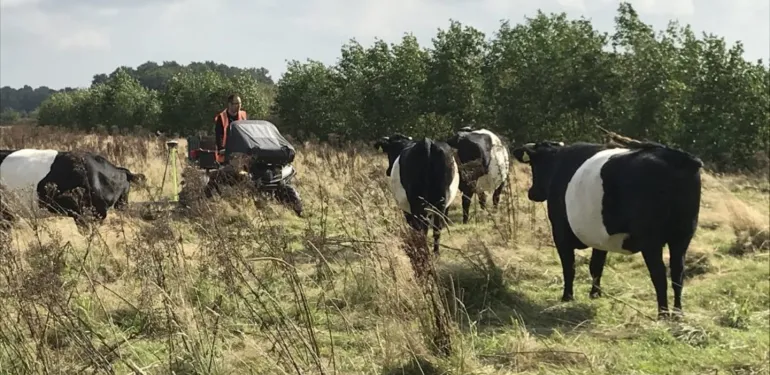 Speuren naar oude ronde toren met de 3D-radar
