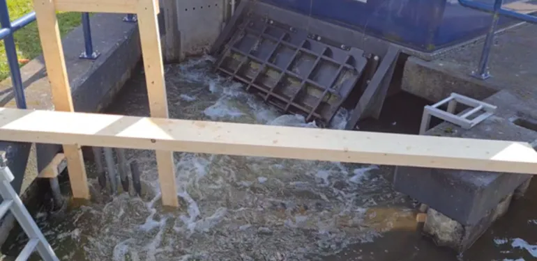 Hoe effectief zijn vismigratiesystemen in het beheergebied van HDSR?