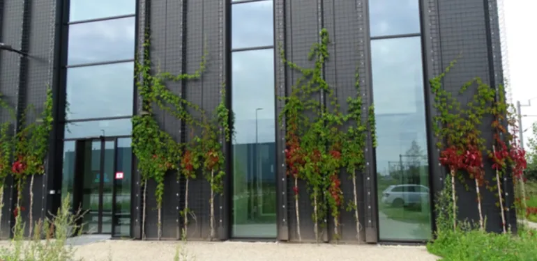 Een natuurinclusief distributiecentrum, hoe pakt dat uit?