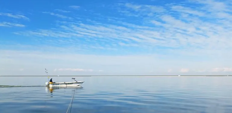 Waarom vinden we weinig oude vissen in het IJsselmeer?