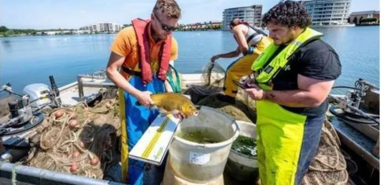 KRW visstandonderzoek voor waterschap Hollandse Delta van start