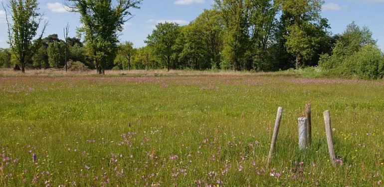 Landschapsecologische systeemanalyse (LESA) vergroot kans op succes bij natuurherstel