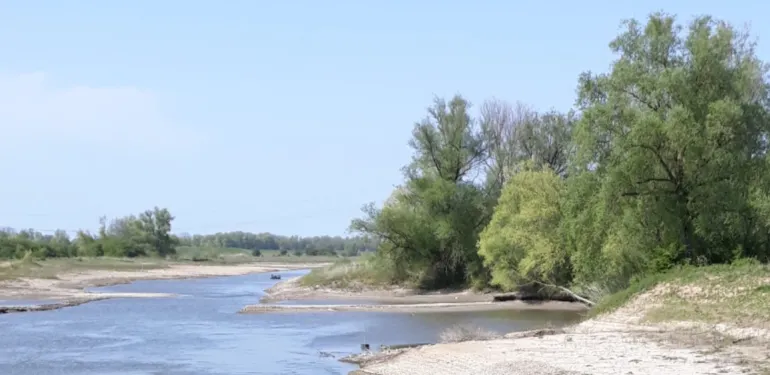 Zijstroom van rivier opgroeigebied voor vis