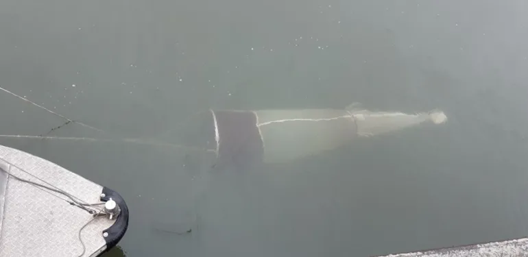 Onderzoek naar (micro)plastics in rivieren