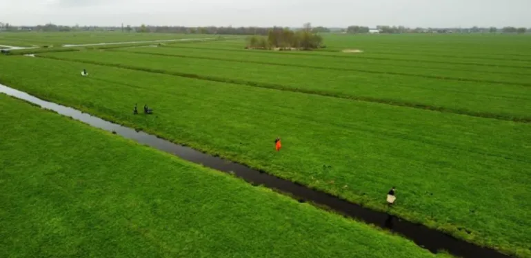 Wegvangen rivierkreeften heeft zin