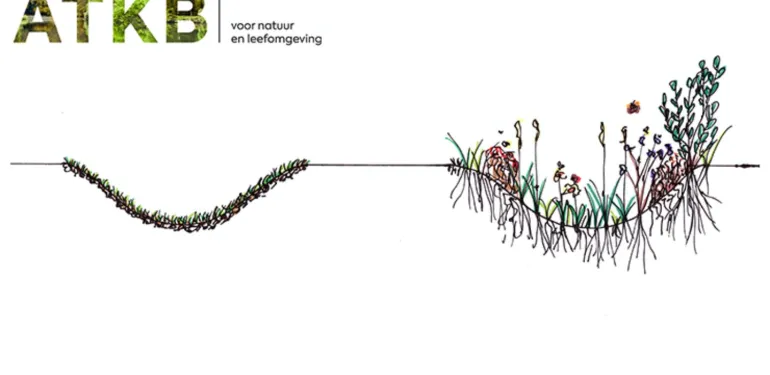 Waarom infiltreert regenwater beter via een EcoWadi?