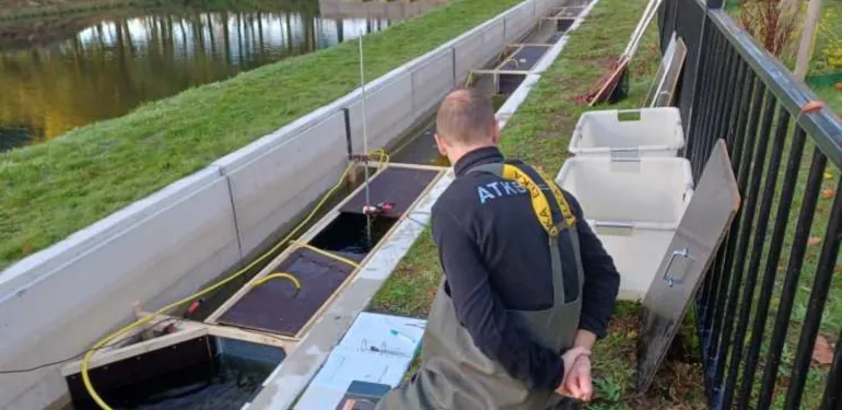 Onderzoek naar stress bij vissen samen met universiteiten van Delft, Michigan en Toscane