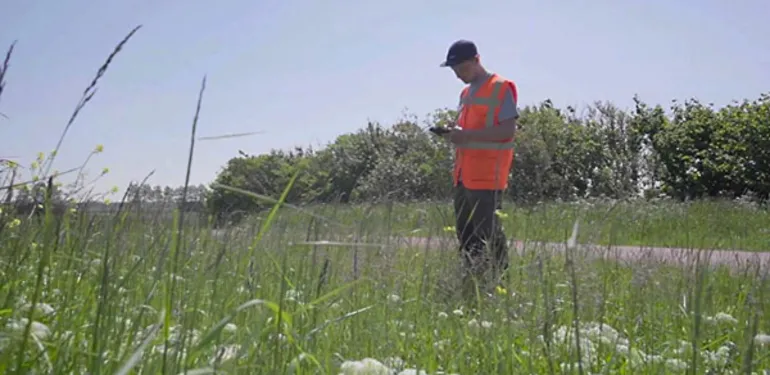 Veldwerk, teken en de ziekte van Lyme