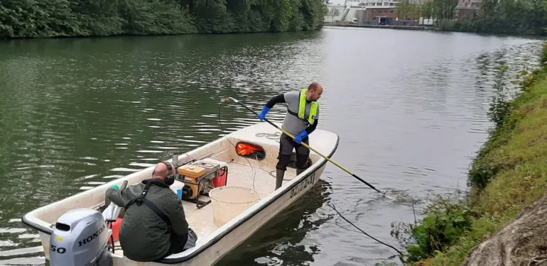 Visstandonderzoek in Merwedekanaal