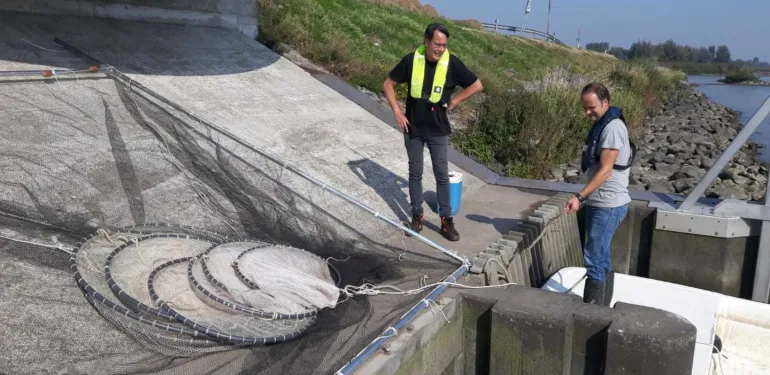 Visveiligheid van gemaalpompen op basis van NEN 8775