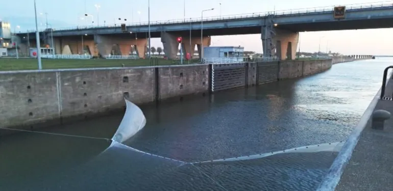 Groot vismigratieonderzoek bij de Volkeraksluizen