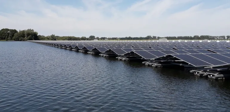 Eerste resultaten ecologische effecten drijvend zonnepark