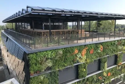 Succesvol natuurinclusief bouwen