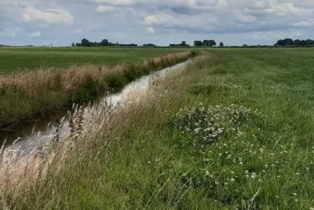 Bedrijfsnatuurplan verbindt landbouw en ecologie