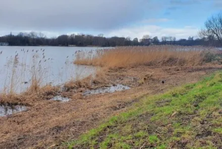 Oeverinspecties voor de gemeente Amsterdam
