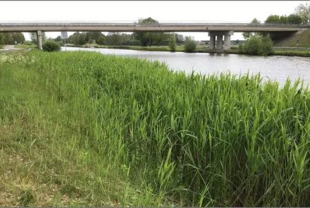 (Water)bodemonderzoek verruimen Twentekanalen