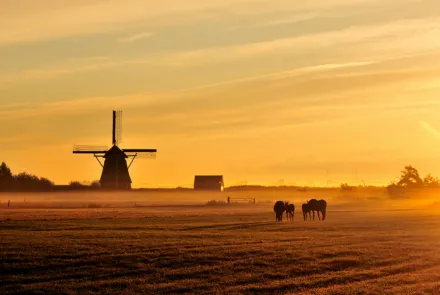 Inventarisatie en monitoring