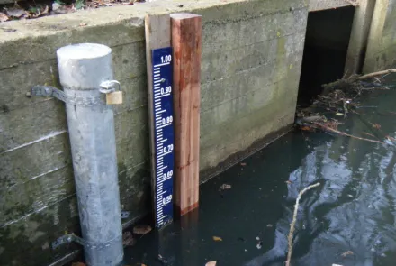 Vergunningen en meldingen