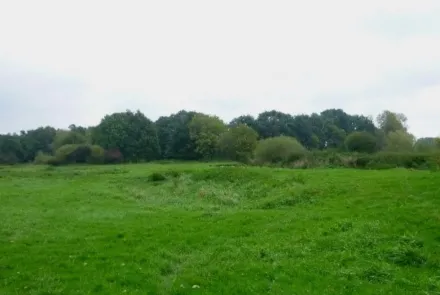 Potentie ontwikkeling stroomdalgraslanden langs de Dinkel