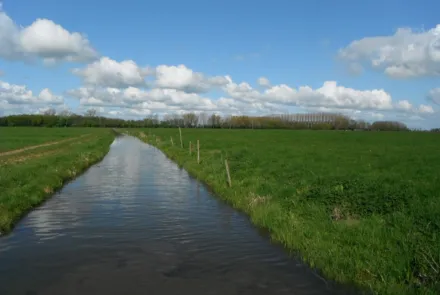 Natuurbeheer en -beleid