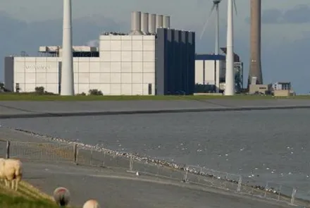 Passende Beoordeling dijkversterking Eemshaven-Delfzijl