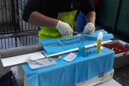 Telemetrisch onderzoek