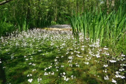 Incompany -trainingen