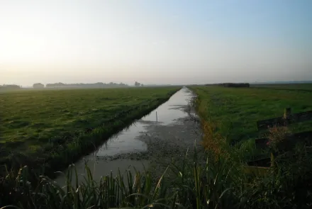 Agrarisch natuurbeheer