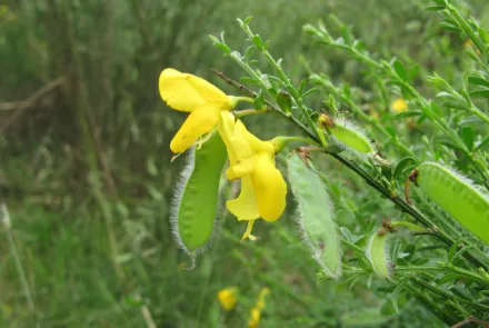 Cursussen Natuurwetgeving