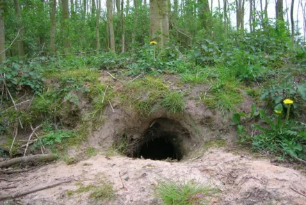 Graafgangen opsporen