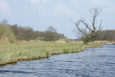 NatuurNetwerk Nederland
