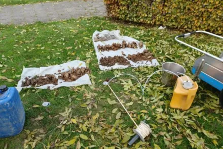 Infiltratieonderzoek