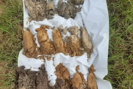 Nutriëntenonderzoek