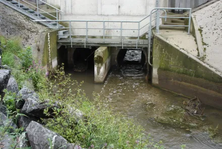 Vispassage monitoring bij andere kunstwerken