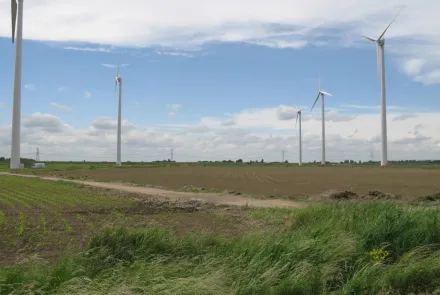 Ondersteuning vergunningsprocedures