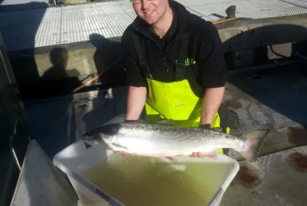 Soortgericht onderzoek