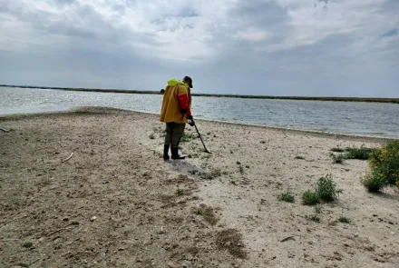 Onderzoek effecten hoekwantvisserij seizoen 2024