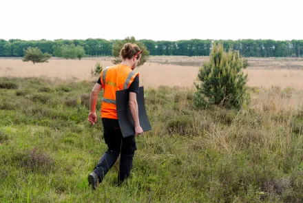 Adviseur Terrestrische Ecologie
