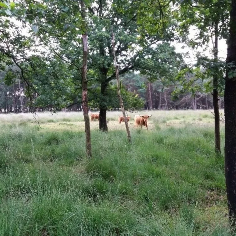 Fulltime, Assen, Waardenburg, Wageningen, Zoetermeer Senior Adviseur Gebiedsbescherming