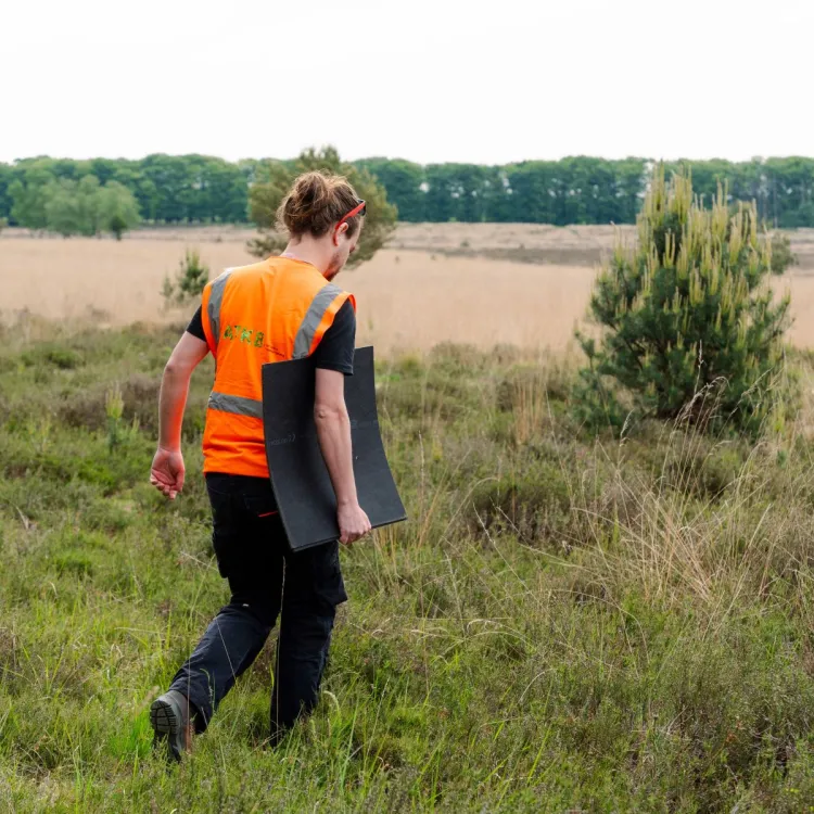 Adviseur Terrestrische Ecologie